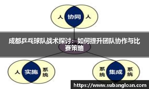成都乒乓球队战术探讨：如何提升团队协作与比赛策略