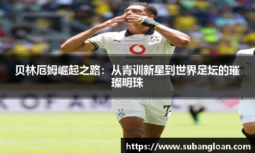 we真人视讯官网